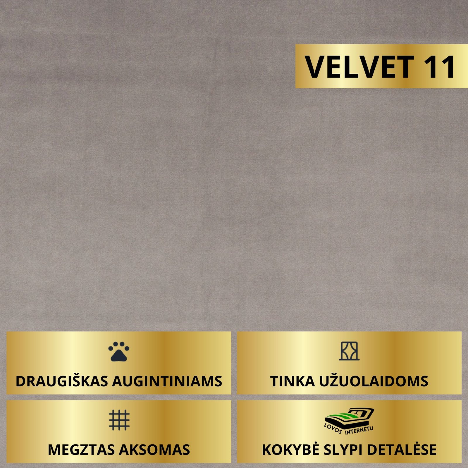 VELVET 11
